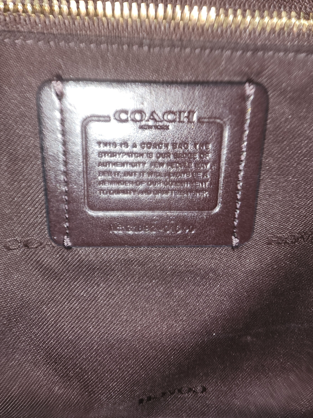 Coach Dreamer - Picture 6 of 10